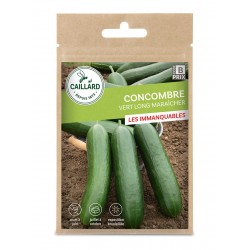 Graines Concombre Vert Long...