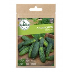 Graines Cornichon Regal F1...