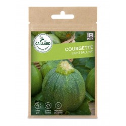 Graines Courgette Eight...