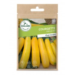 Graines Courgette Orelia F1...