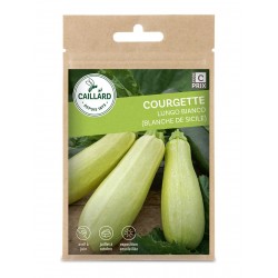 Graines Courgette Blanche...