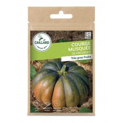 Graines Courge Musquee De...