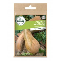 Graines Courge Musquee...