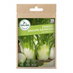 Graines Fenouil Fino Race...