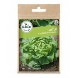 Graines Laitue Kagraner...