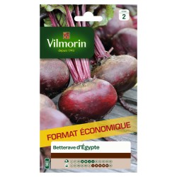 BETTERAVE D'égypte SACHET...