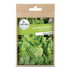 Graines Laitue Batavia...