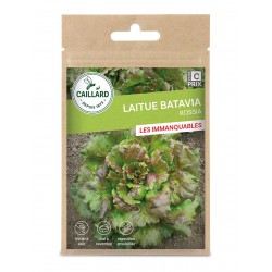 Graines Laitue Batavia...