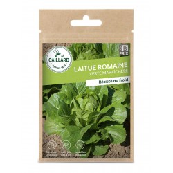 Graines Laitue Romaine...