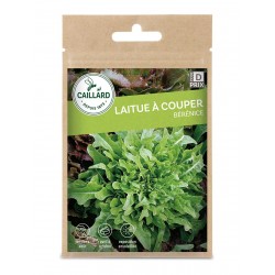 Graines Laitue A Couper...