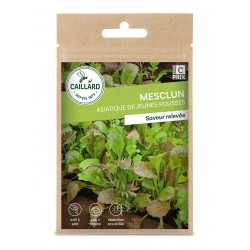 Graines Mesclun Asiatique...