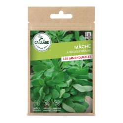 Graines Mache A Grosse...
