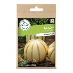 Graines Melon Costibel F1...