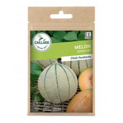 Graines Melon Jenga F1...