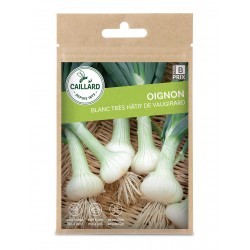 Graines Oignon Blanc De...