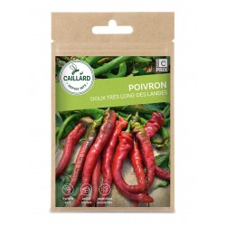 Graines Poivron Doux Tres...