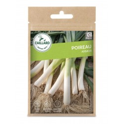 Graines Poireau Armor...