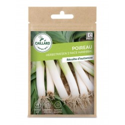 Graines Poireau...