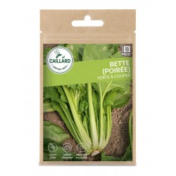 Graines Poiree Verte A...