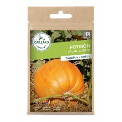 Graines Potiron Atlantic...