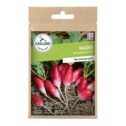 Graines Radis Mirabeau F1...