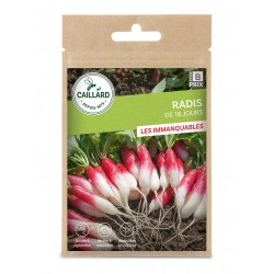 Graines Radis De 18 Jours...