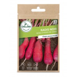 Graines Radis Rave Rose...