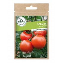 Graines Tomate Ikram F1...