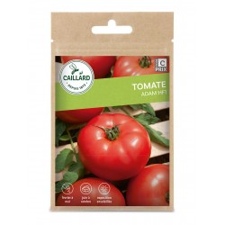 Graines Tomate Adam F1...