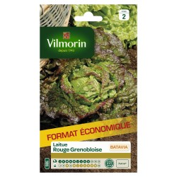 VILMORIN-LAITUE BATAVIA...