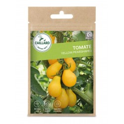 Graines Tomate Yellow...