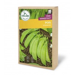 Graines Pois Mangetout...