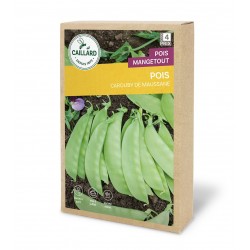 Graines Pois Mangetout...