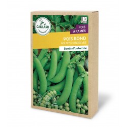 Graines Pois Rond A Rames...