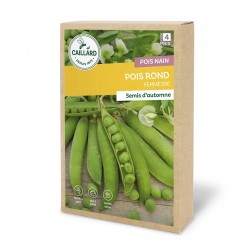 Graines Pois Nain Rond...
