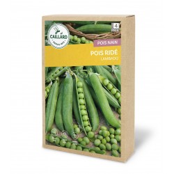 Graines Pois Nain Ride...