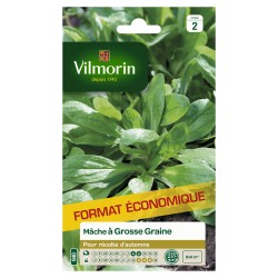 VILMORIN-MÂCHE À Grosse...