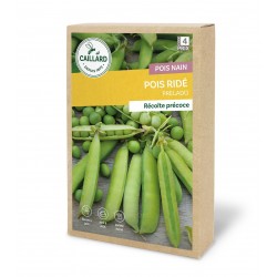 Graines Pois Nain Prelado...