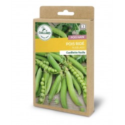 Graines Pois Nain Ride...