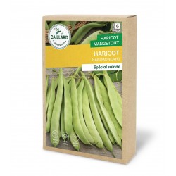 Graines Haricot Nain...