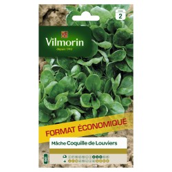 VILMORIN-MÂCHE Coquille De...