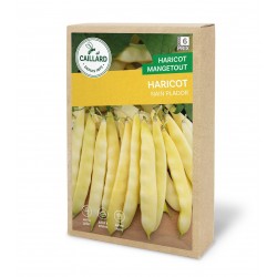 Graines Haricot Nain...