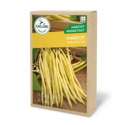 Graines Haricot Nain...