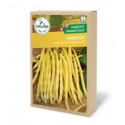 Graines Haricot Nain...