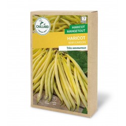 Graines Haricot Nain...