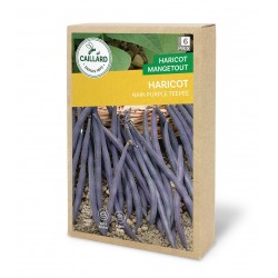 Graines Haricot Nain...