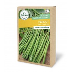 Graines Haricot Nain...