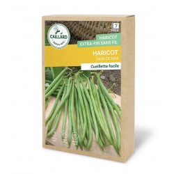 Graines Haricot Nain...