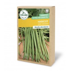 Graines Haricot Nain...