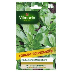 VILMORIN-MÂCHE Ronde...